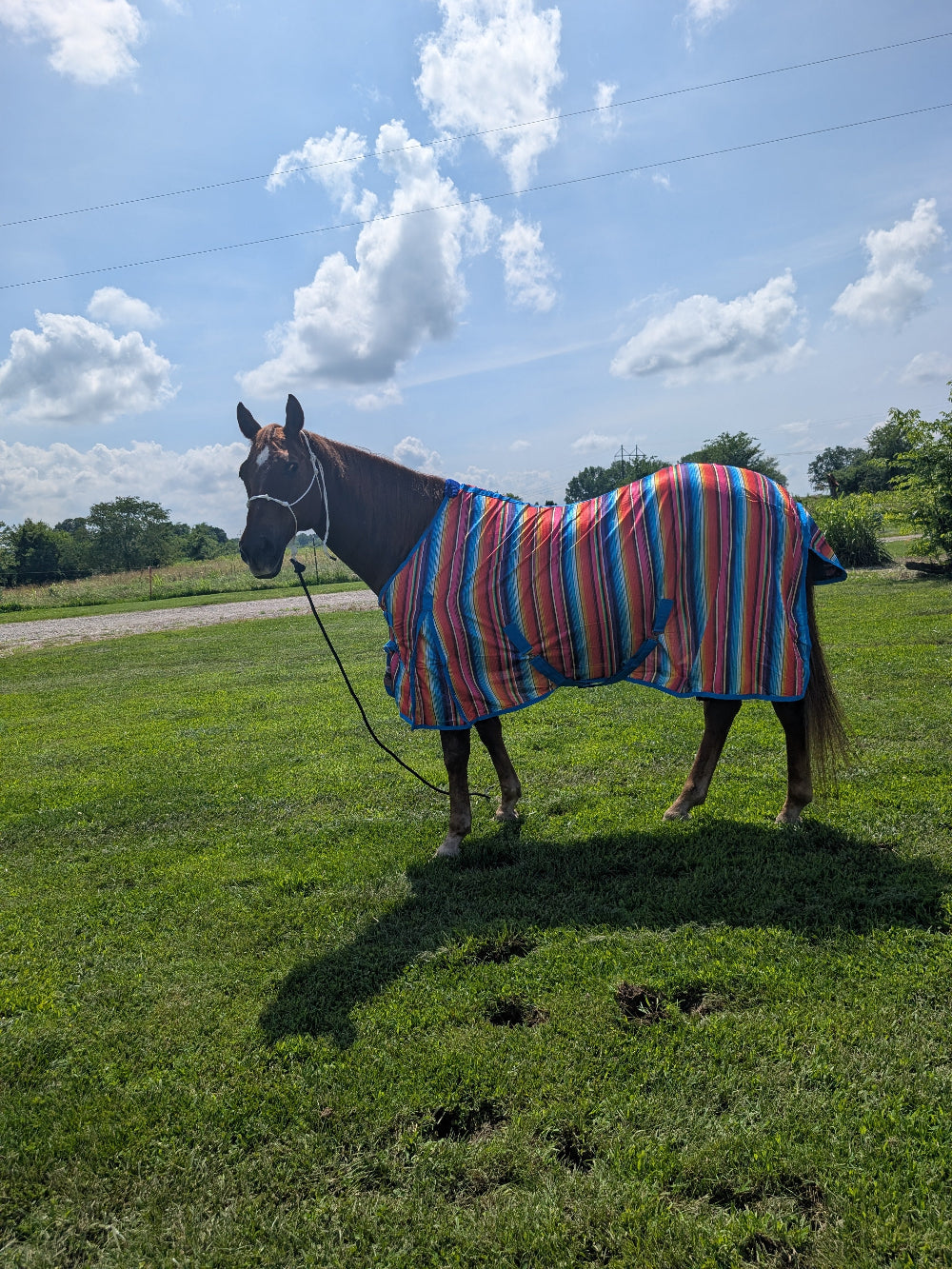 Tough 1 Poly Mesh Summer Sheet Serape