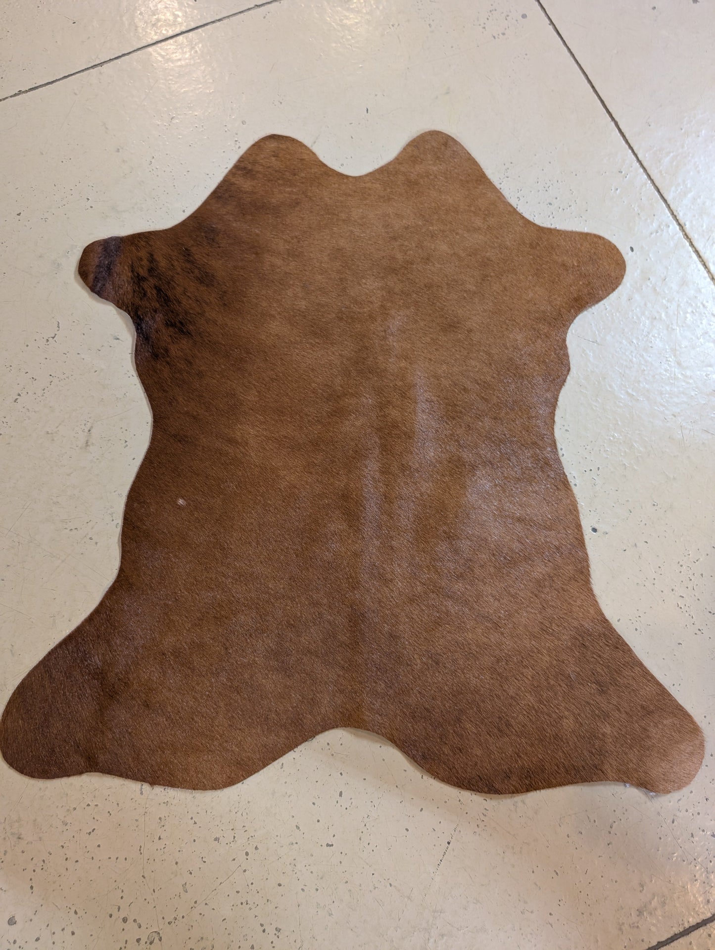 Small Genuine Cowhide – One-of-a-Kind Decor Piece