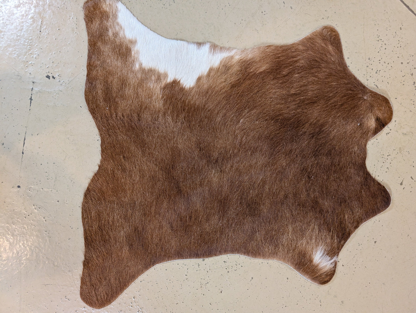Small Genuine Cowhide – One-of-a-Kind Decor Piece