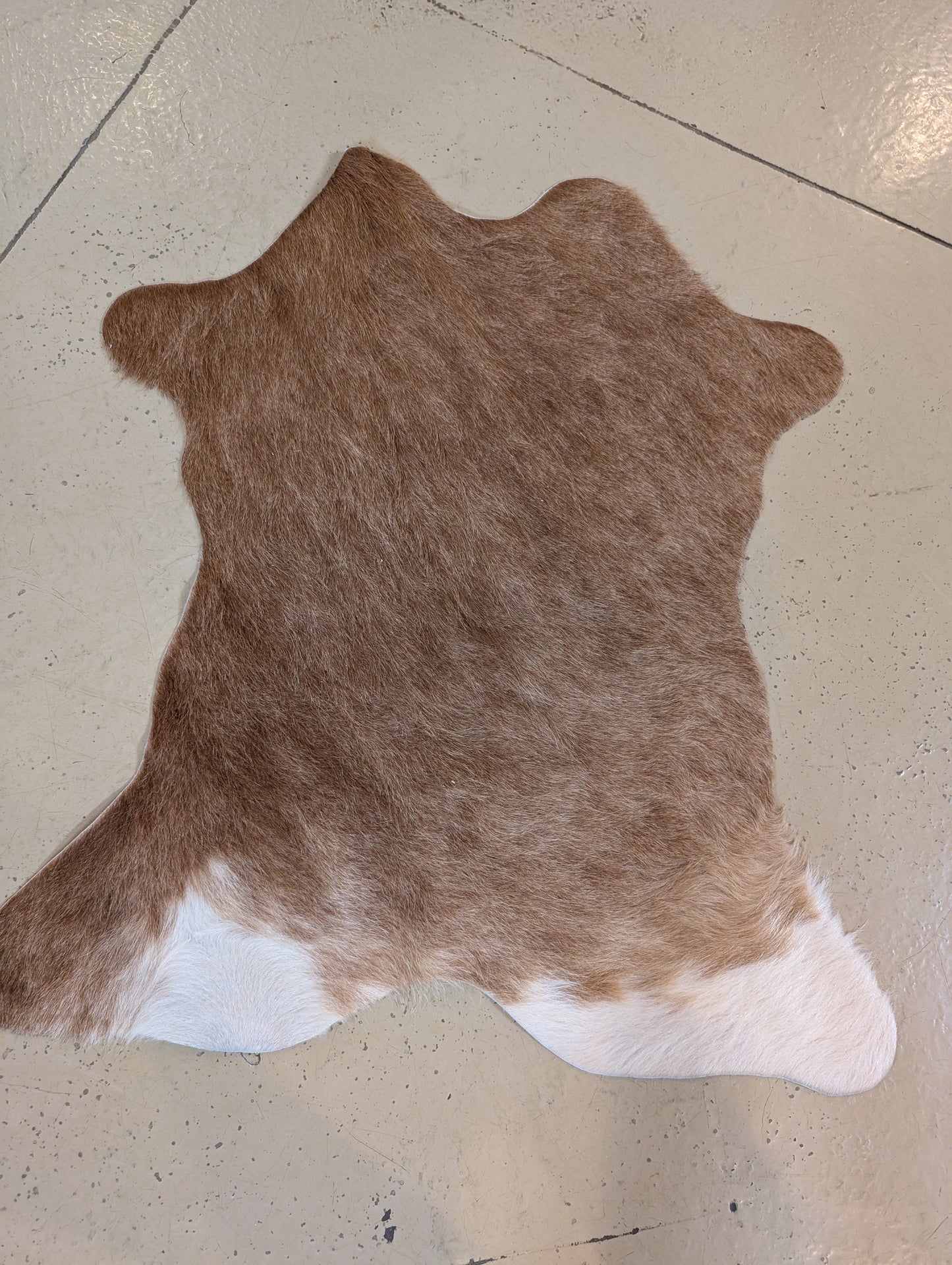 Small Genuine Cowhide – One-of-a-Kind Decor Piece
