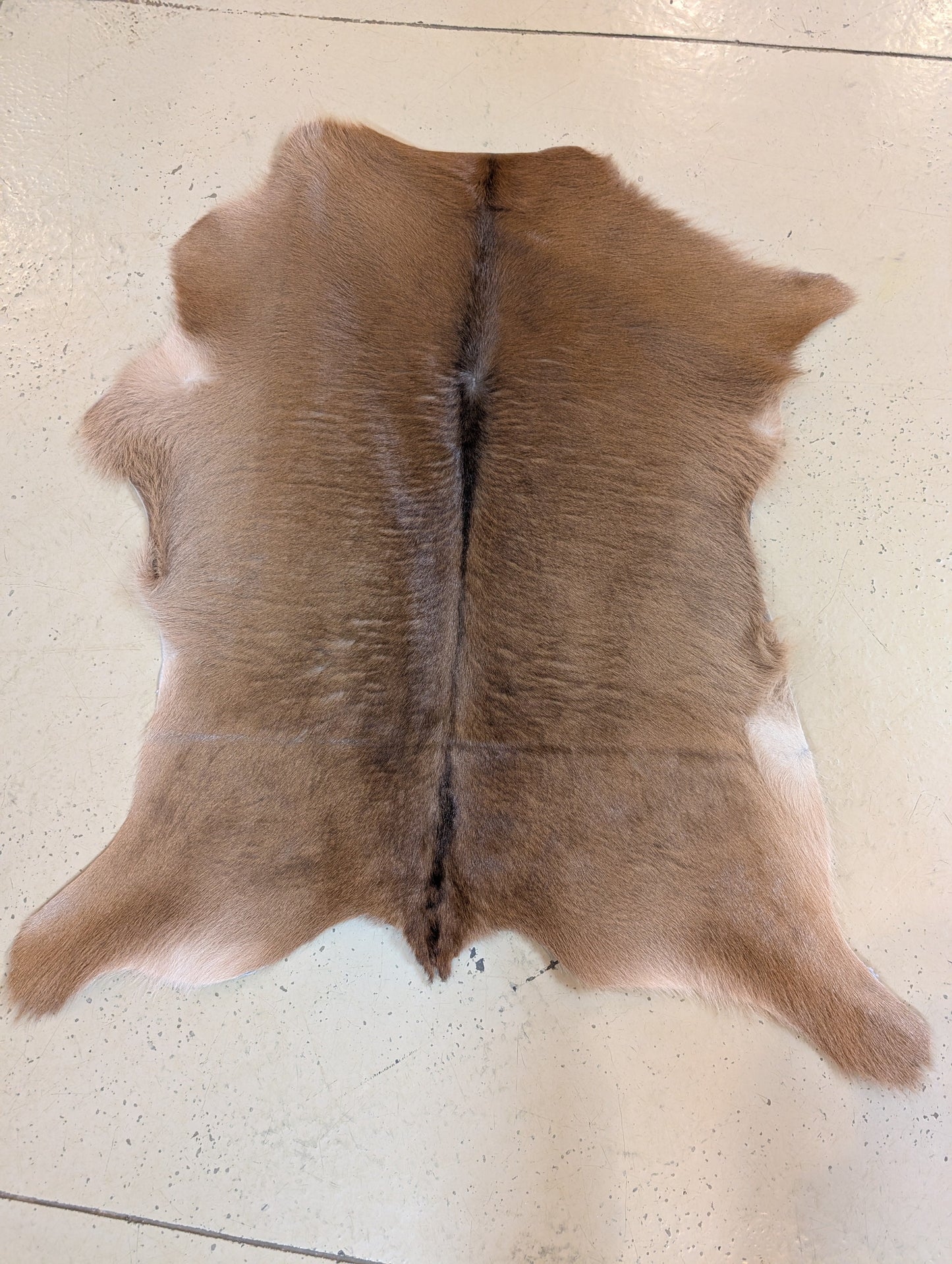 Small Genuine Cowhide – One-of-a-Kind Decor Piece