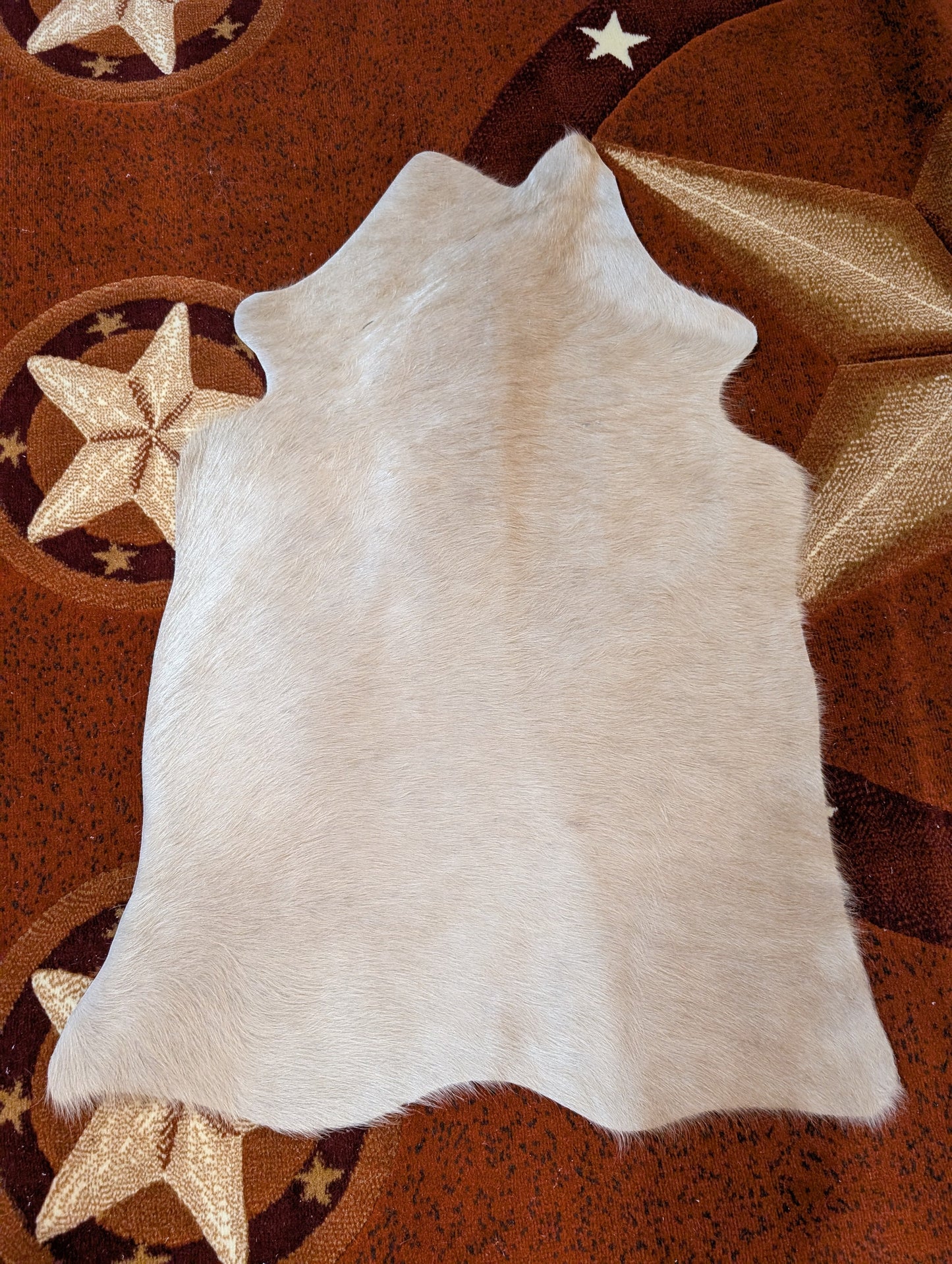 Small Genuine Cowhide – One-of-a-Kind Decor Piece