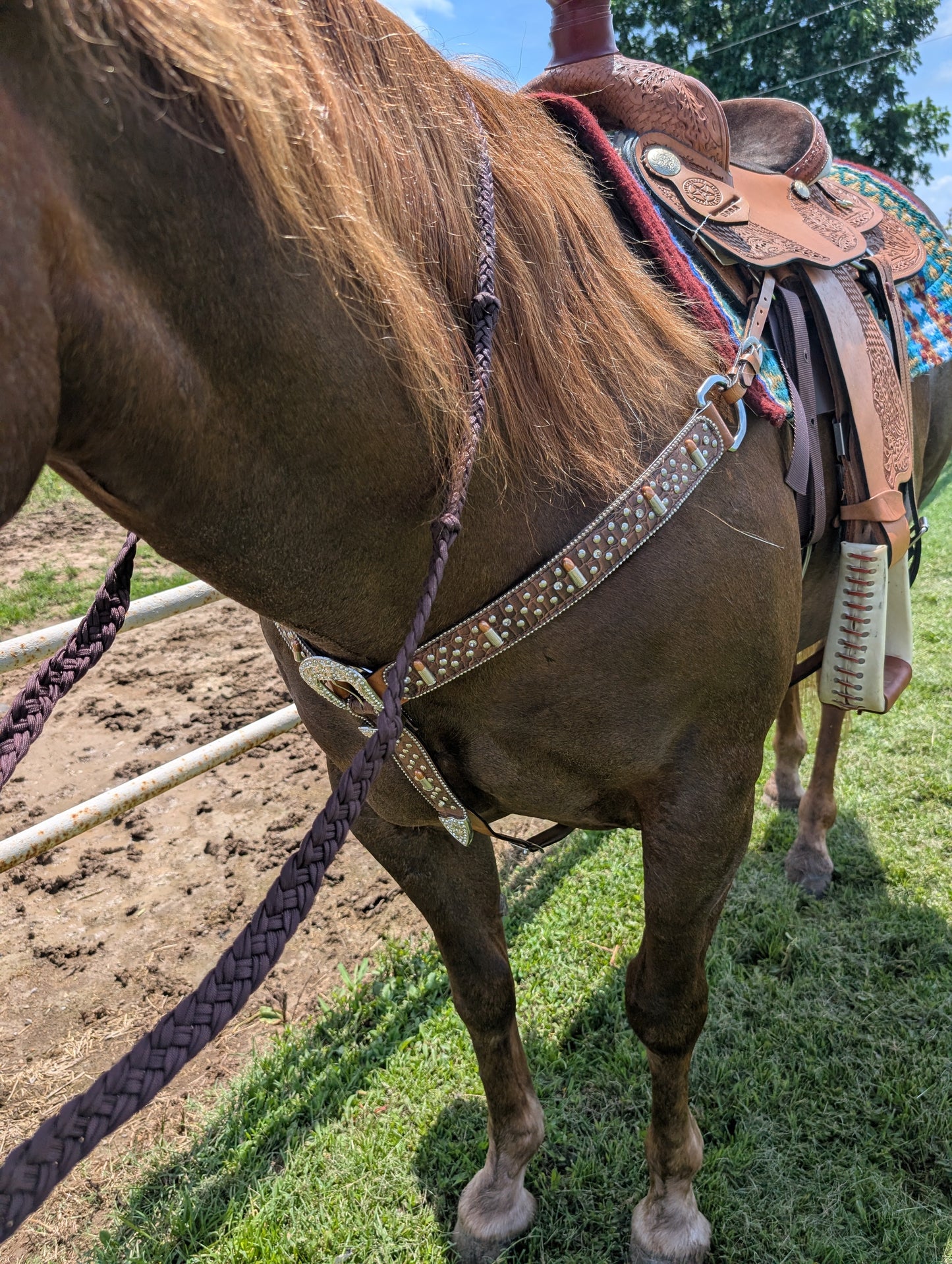Remington Single Ear Headstall & Breast Collar Set – Crystal Accents & Bullet Conchos