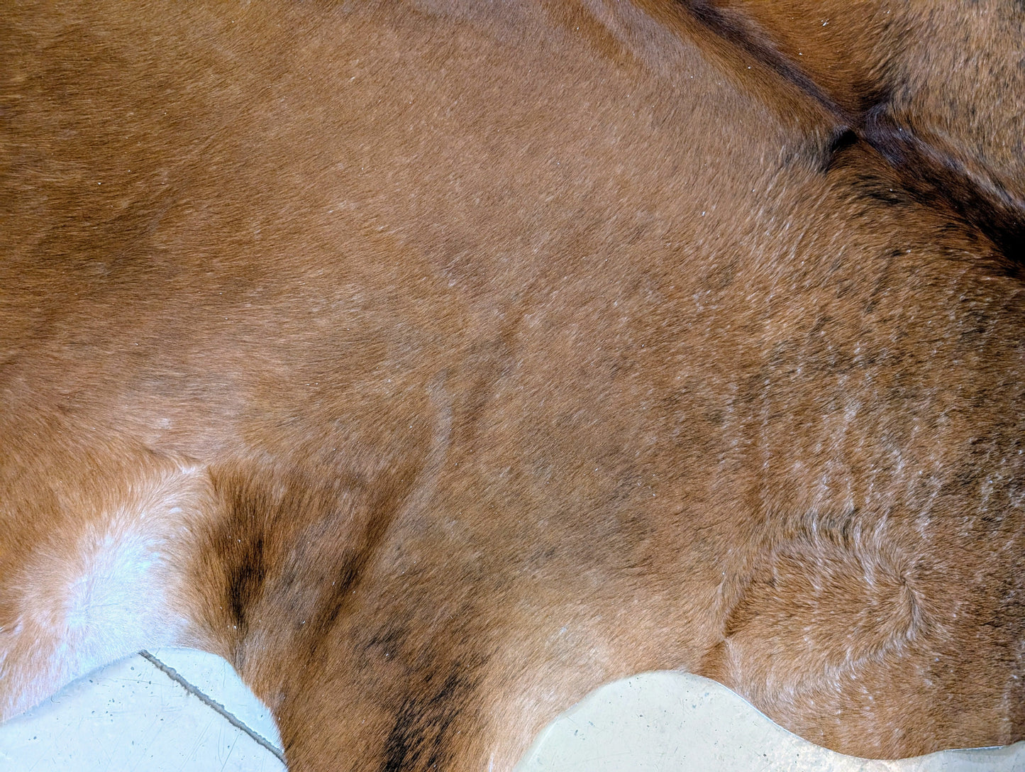 "Momba #5" Full Cowhide