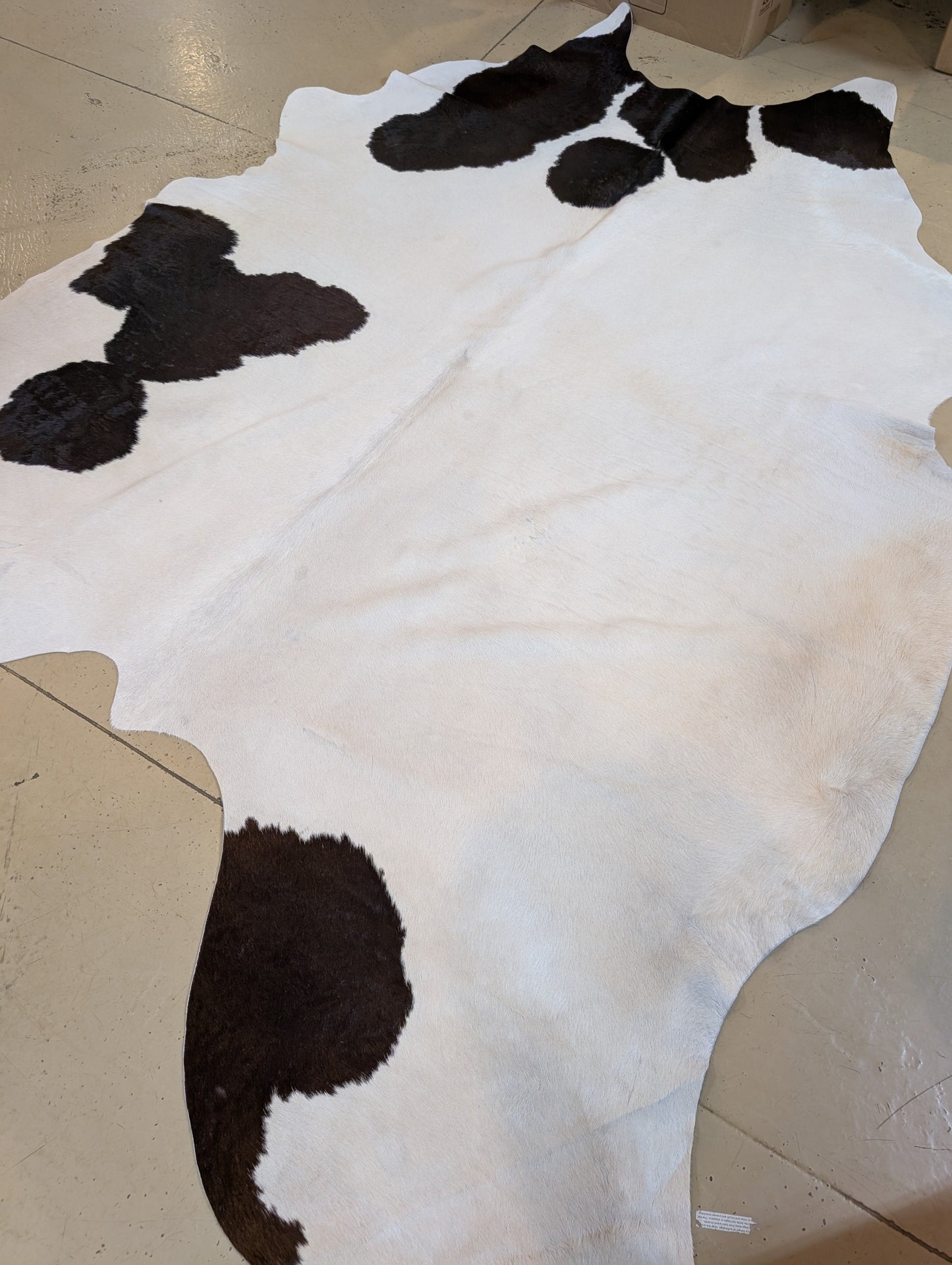 #2 Grade Full-Size Cowhides – Perfect for Crafts, DIY, & Western Projects