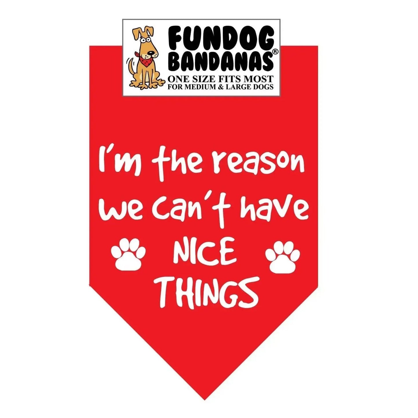 I'M the Reason We Can't Have Nice Things-Made in USA