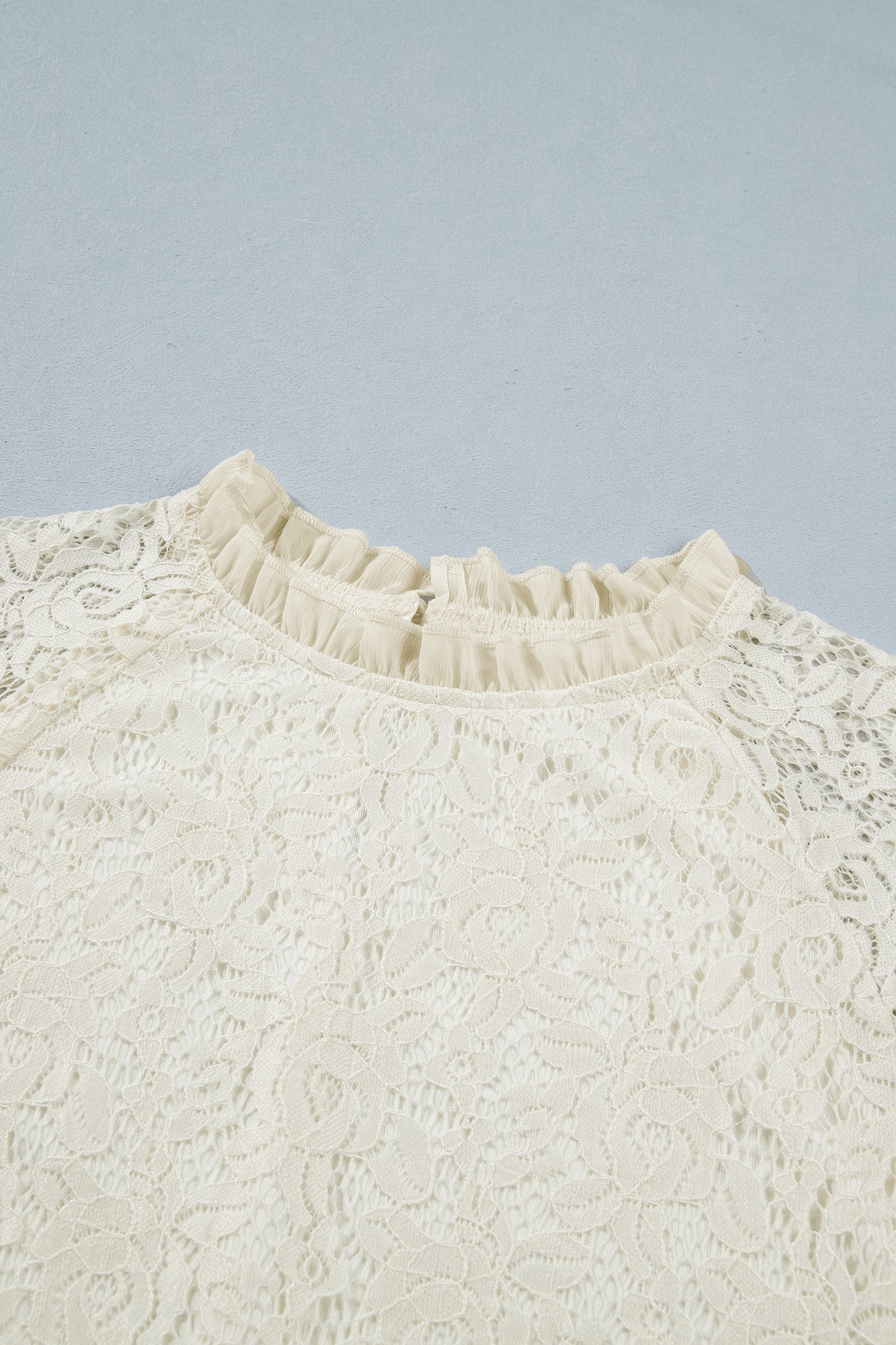 Sheer Lace Ruffle Trim Long Sleeve Blouse