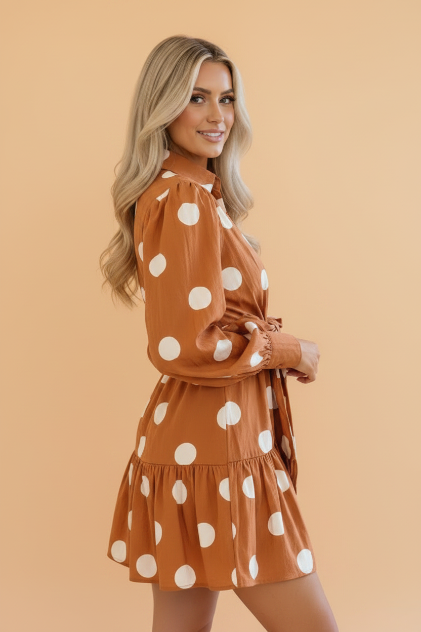 Polka Dot Long Sleeve Tie Waist Mini Dress