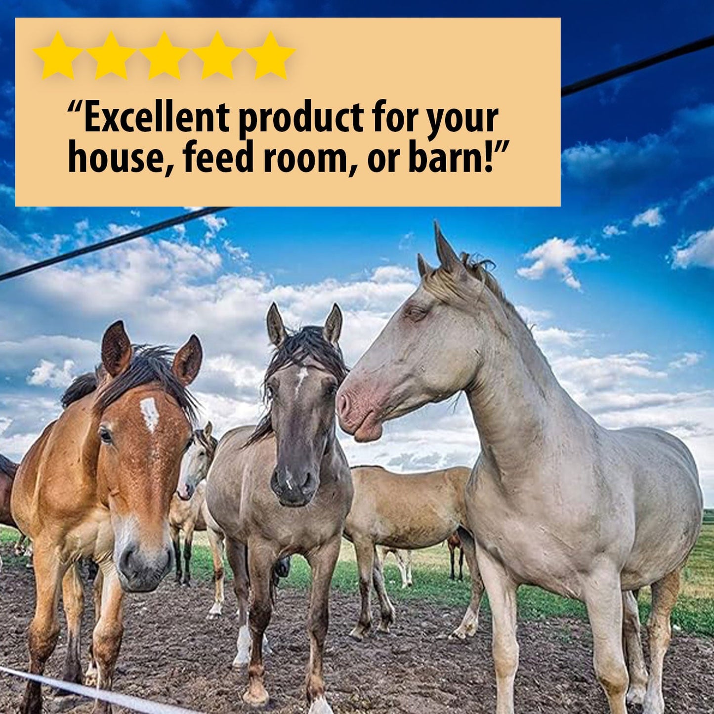 Country Vet Metered Instect Control & Fly Spray
