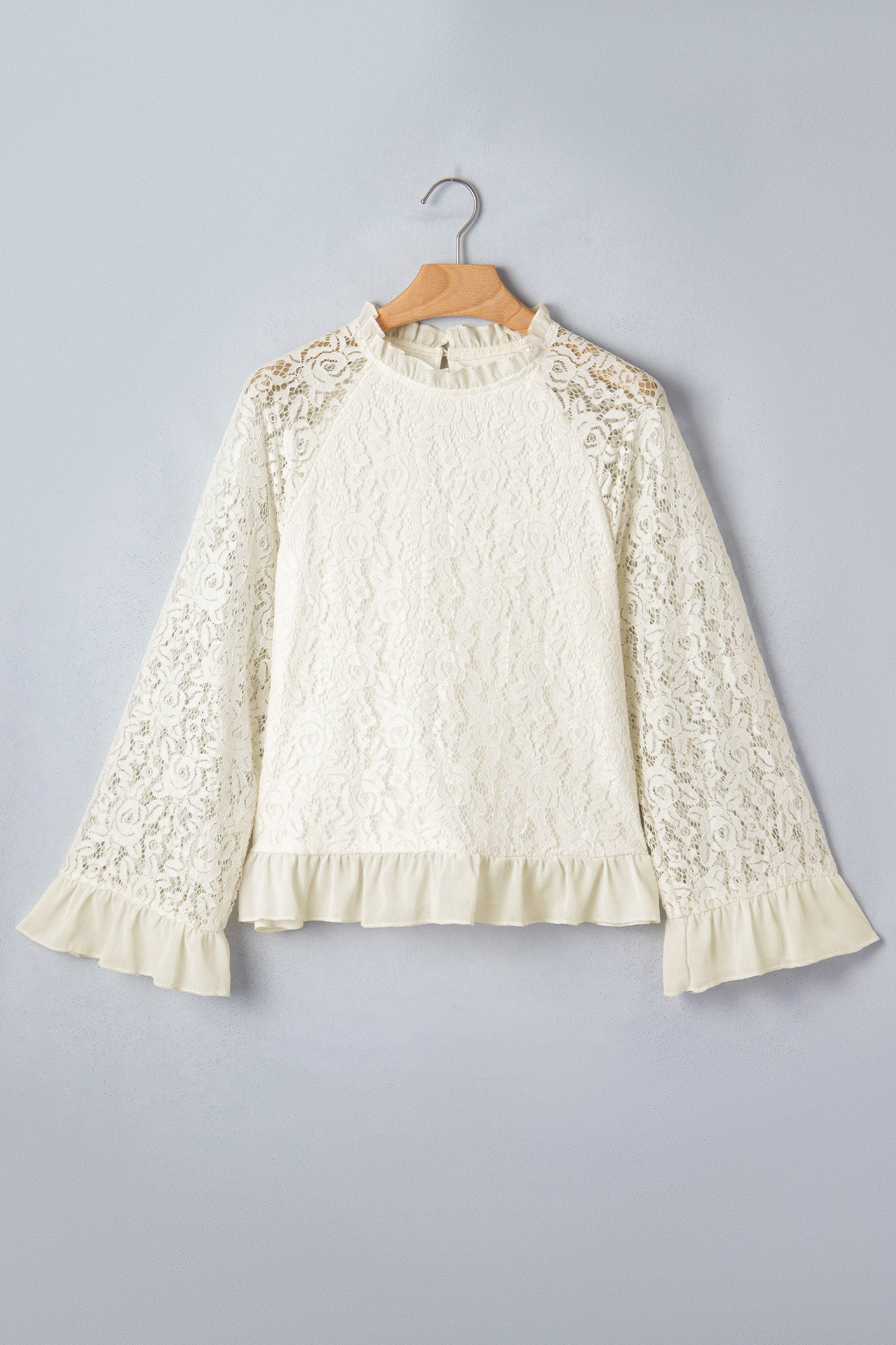 Sheer Lace Ruffle Trim Long Sleeve Blouse