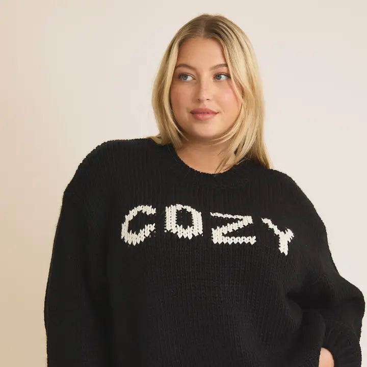 FINAL SALE-Plus "Cozy" Sweater