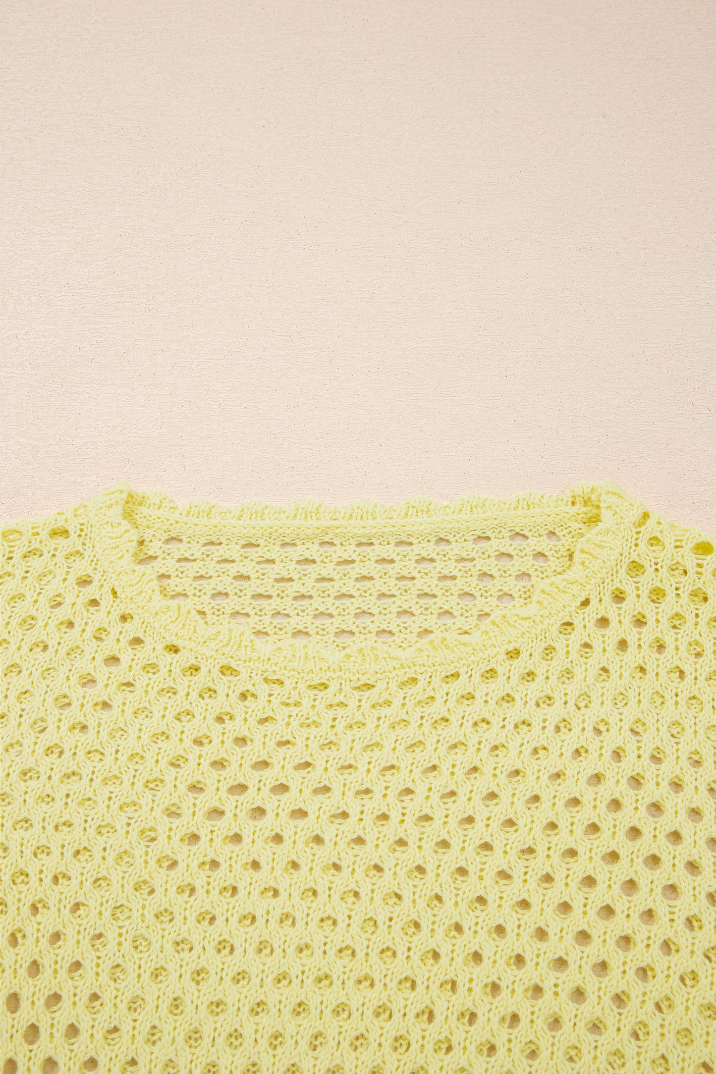 Scalloped Trim Hollow Out Knit Long Sleeve Top