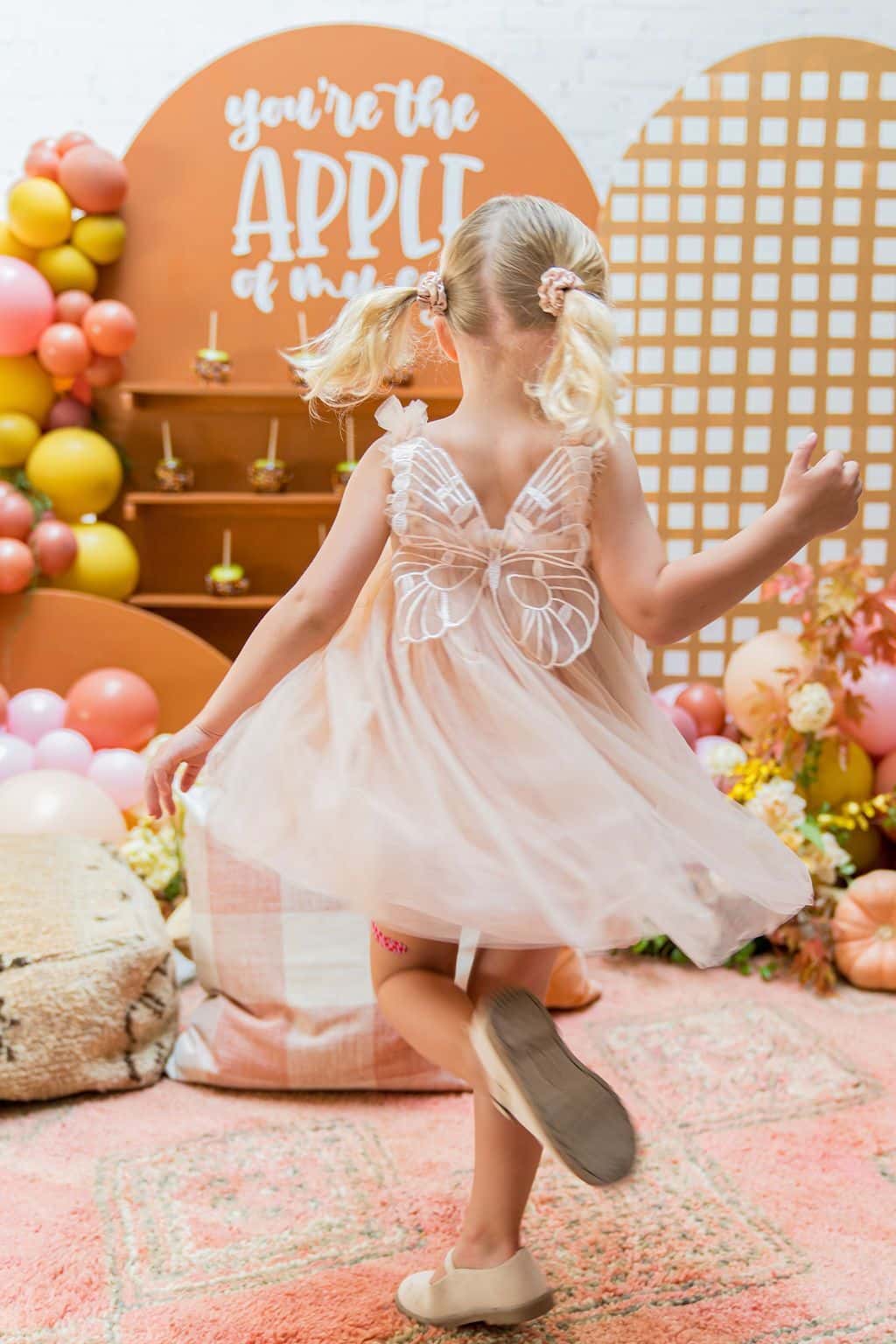 Fairy Dress