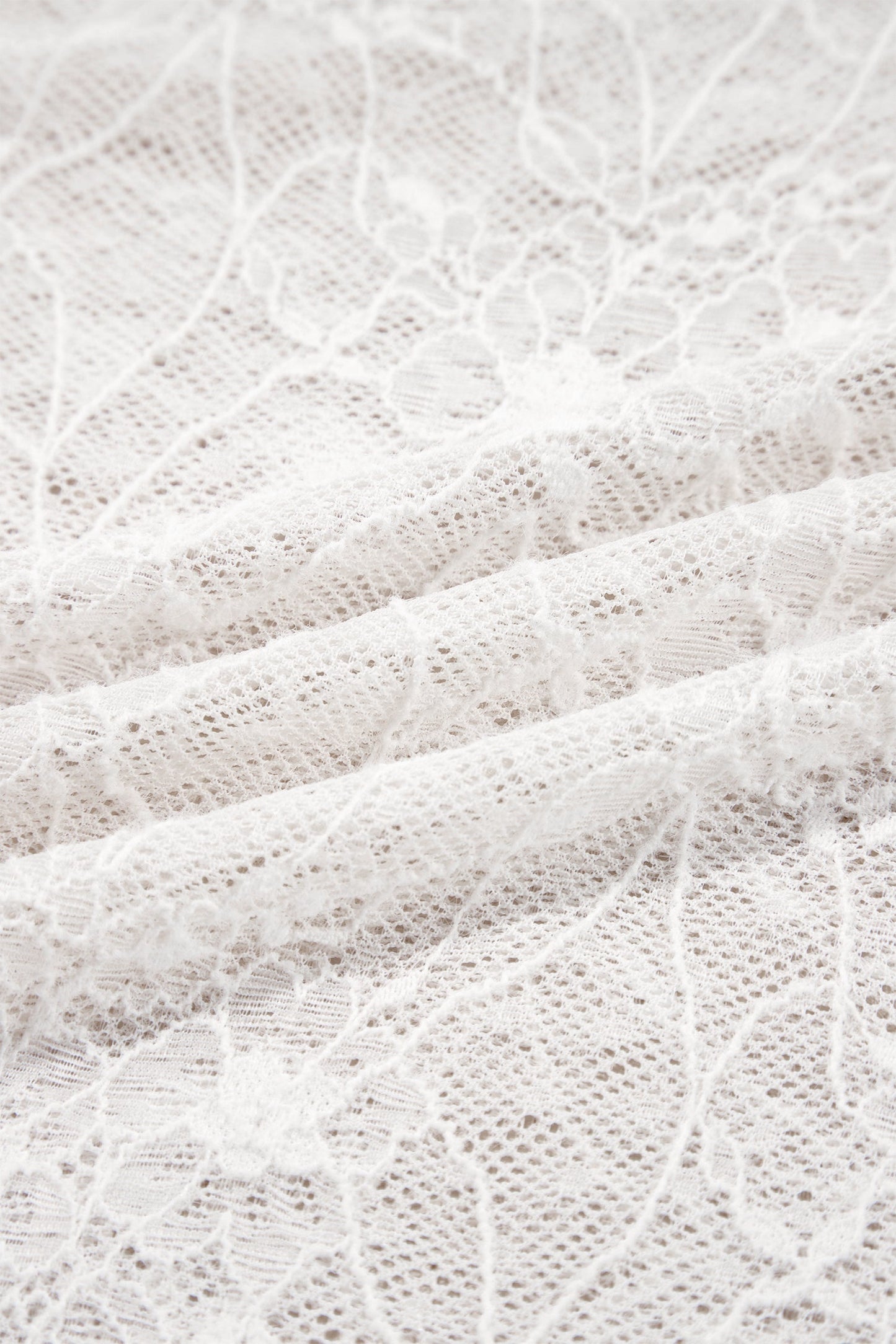 Sheer Lace Mesh Crew Neck Long Sleeve Top