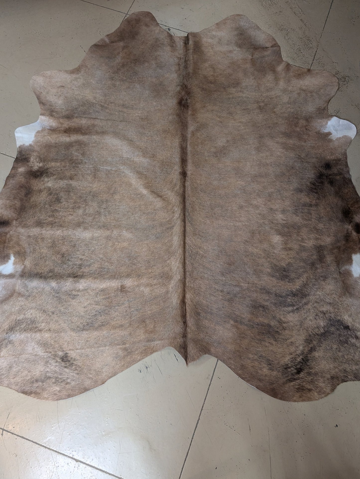 "Goldie" Full Cowhide