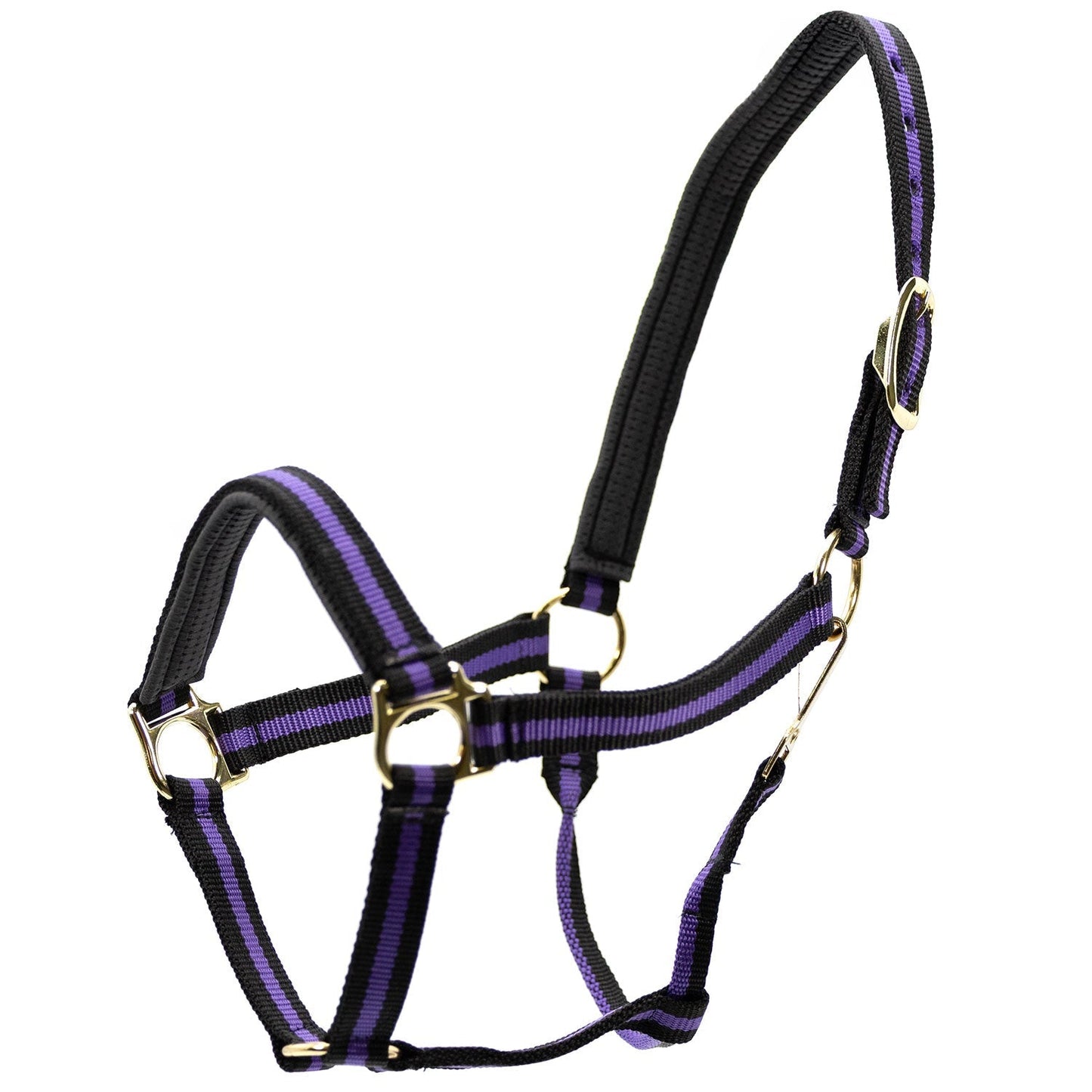 Jeffers Padded Nylon Horse Halter with Throat Snap
