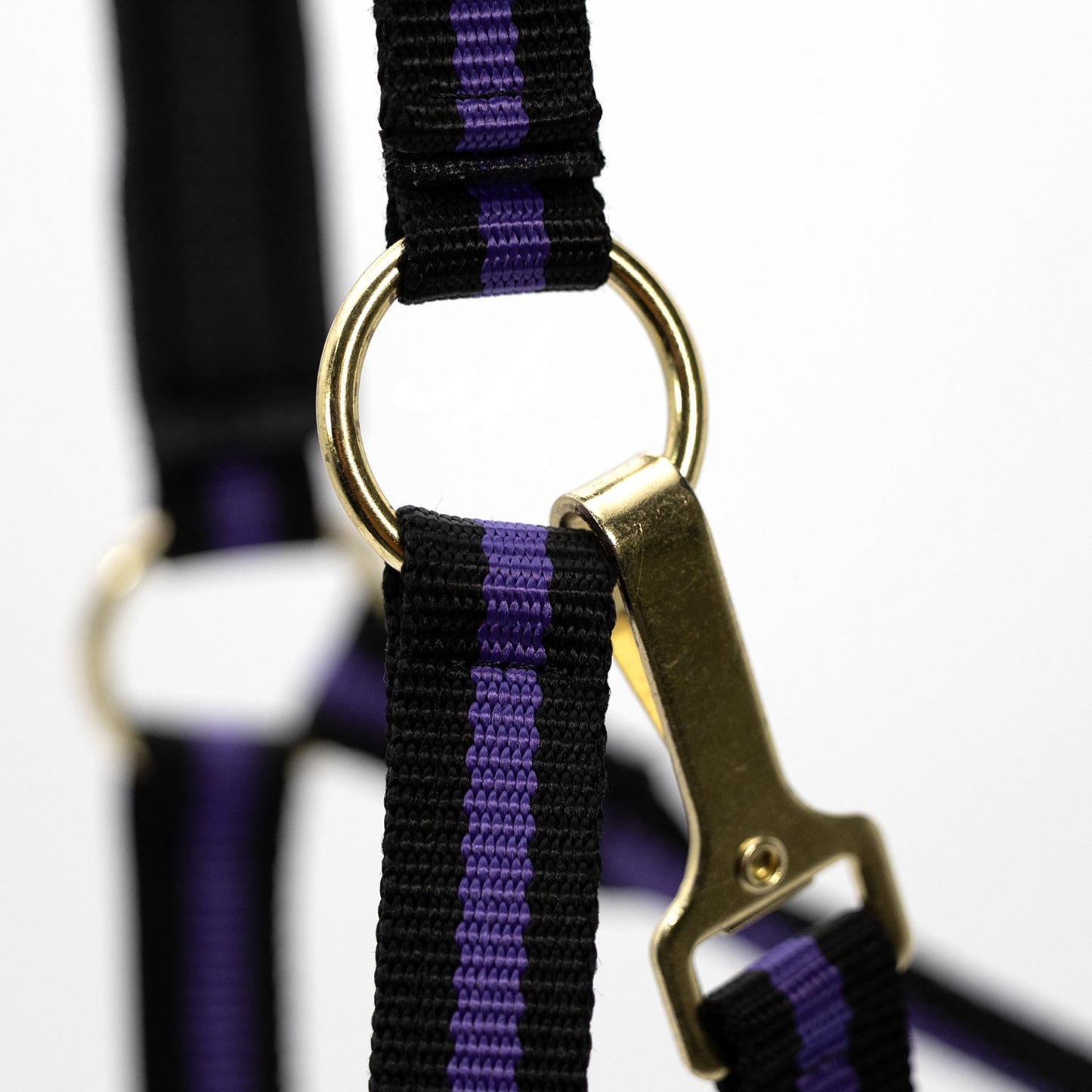 Jeffers Padded Nylon Horse Halter with Throat Snap