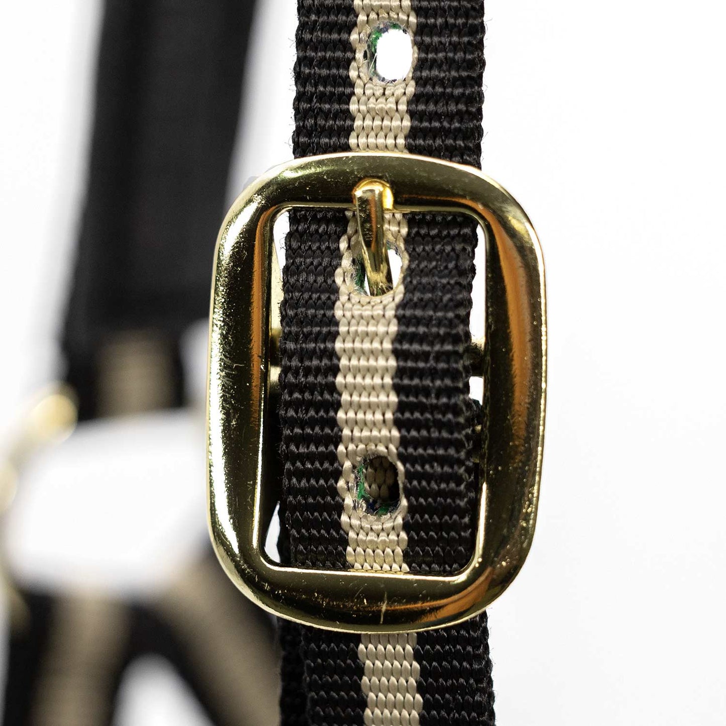 Jeffers Padded Nylon Horse Halter with Throat Snap