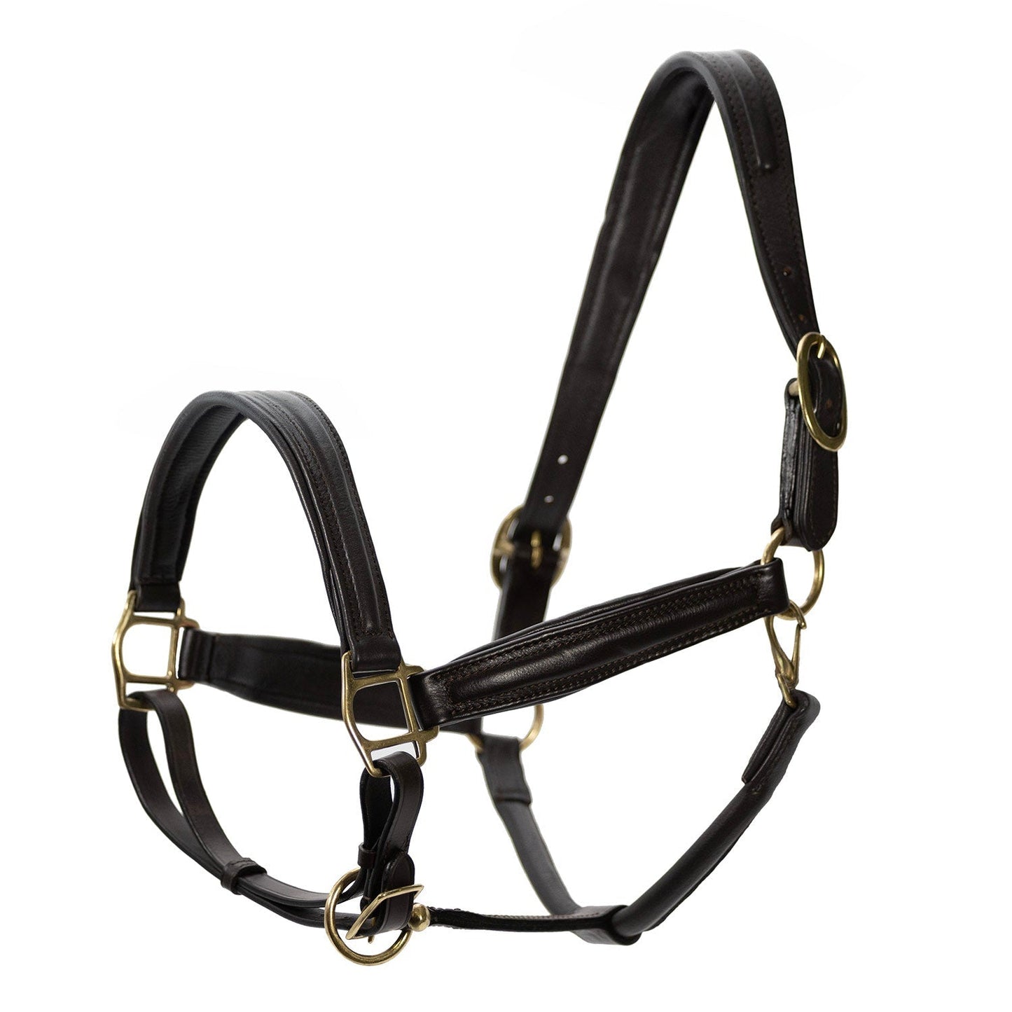 Jeffers Softie Padded Leather Halter for Horses