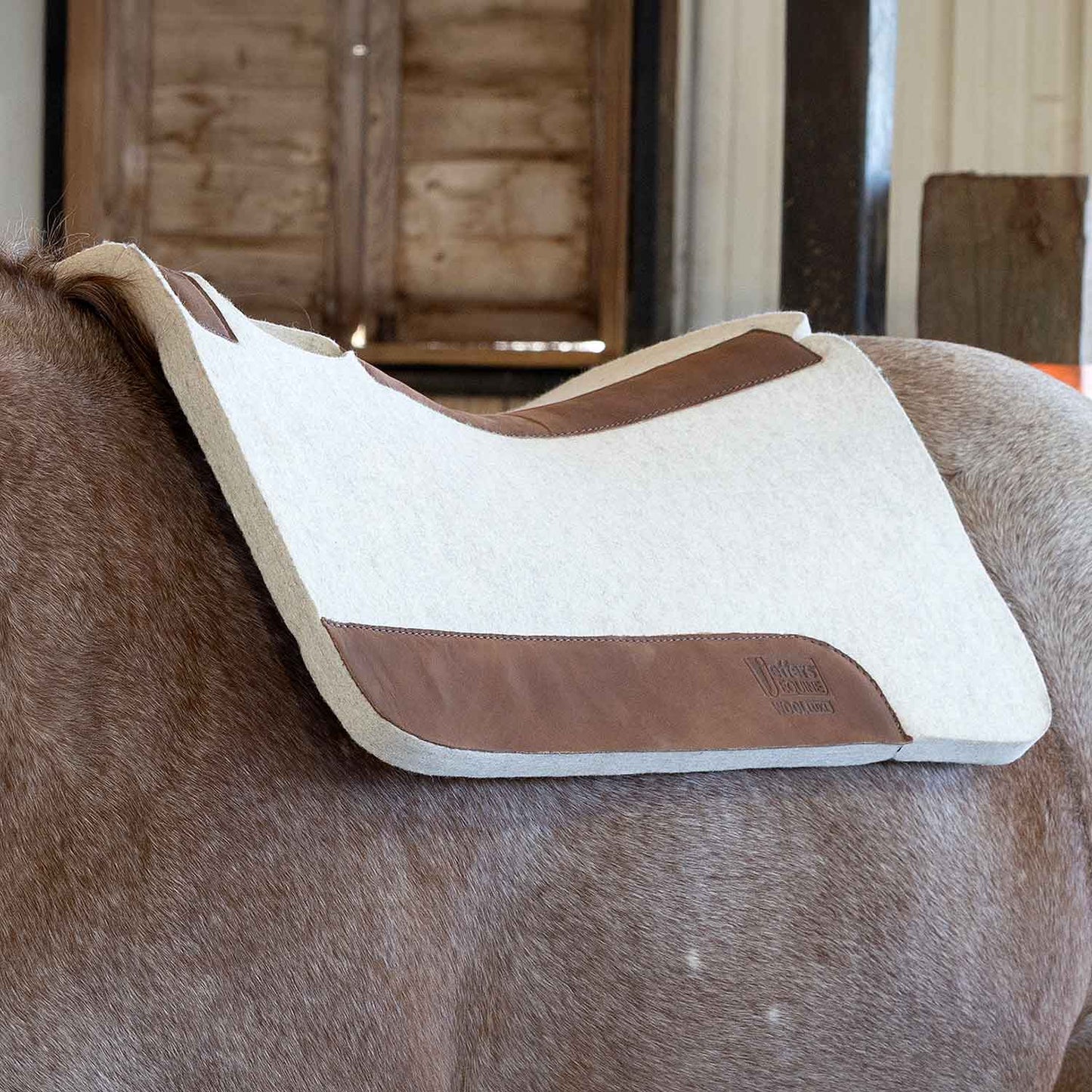 Jeffers WoolLuxe 100% Wool Equine Saddle Pad – Cushioned, Breathable, and Shock-Absorbing