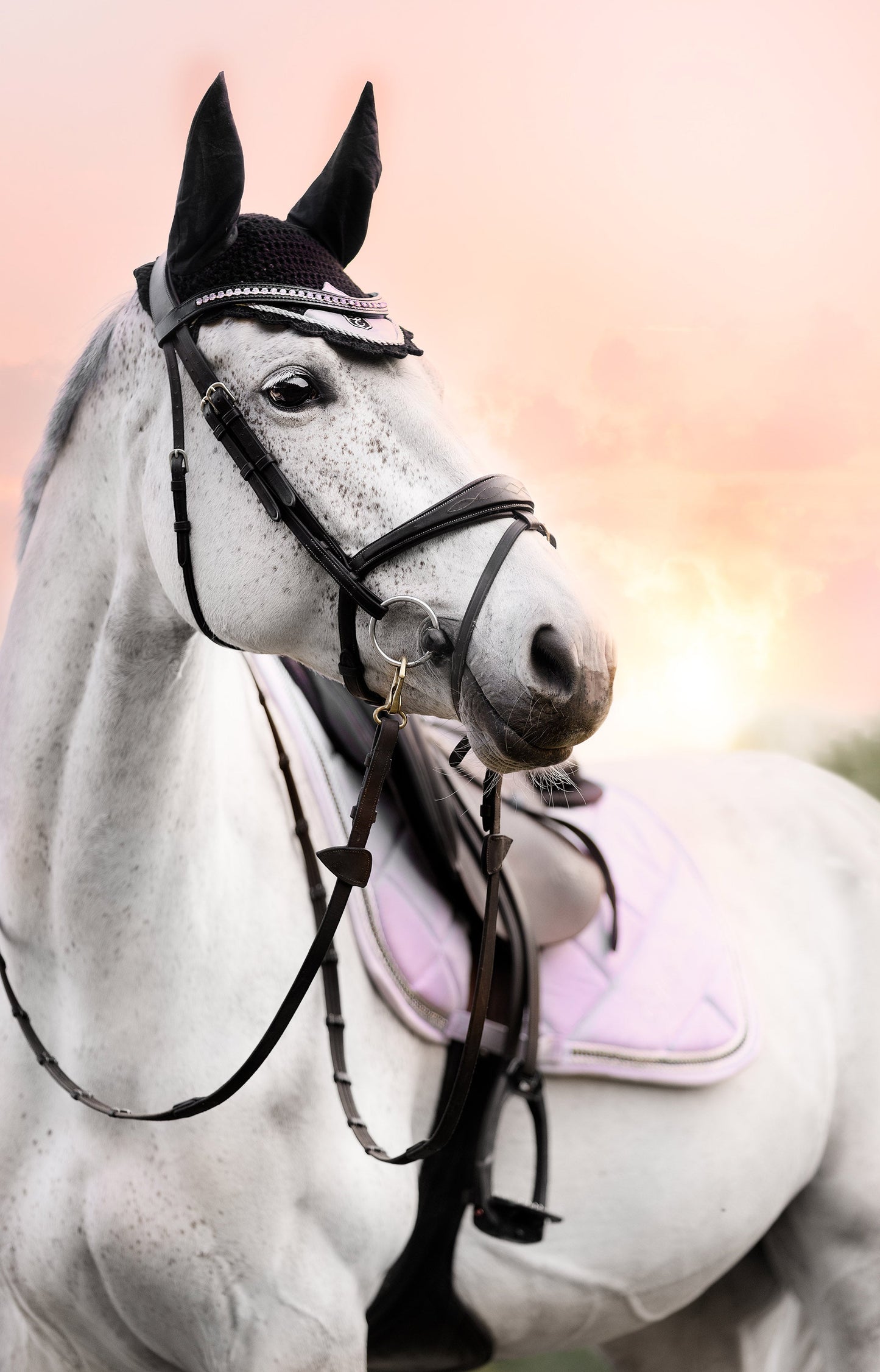 Frosted Lilac Saddle Pad Set