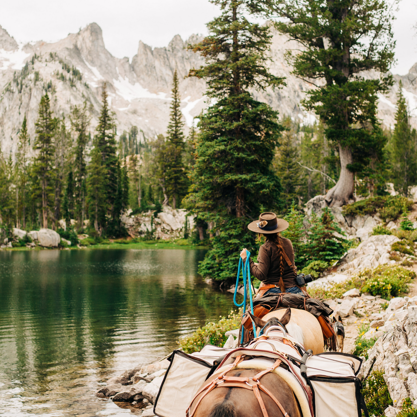 14 Ft Clinician Weighted Lead Rope w/ Snap