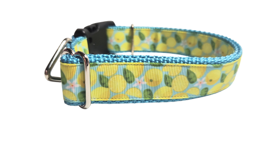 Lemons Nylon Dog Collar
