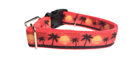 Beach Sunsets Nylon Dog Collar