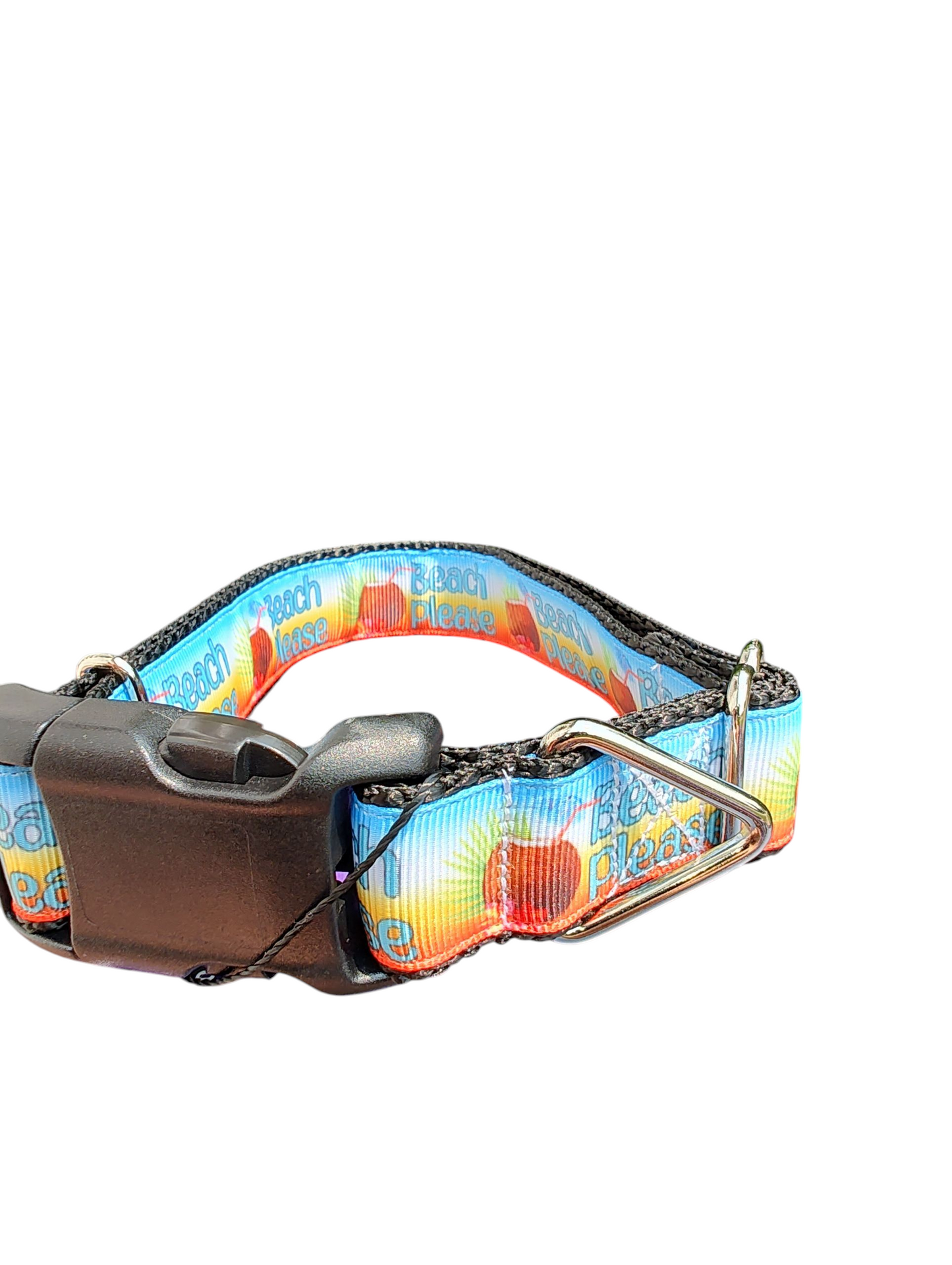 Beach Please Nylon Dog Collar