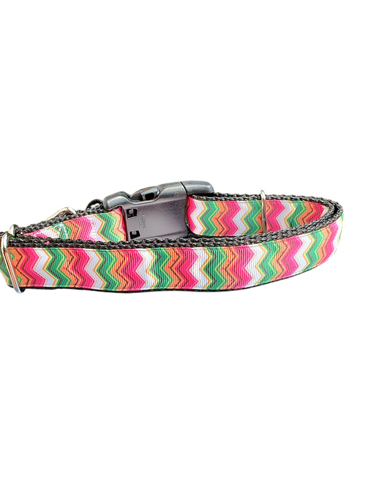 Summer Zig Zags Nylon Dog Collar