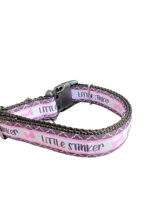 Little Stinker Nylon Dog Collar
