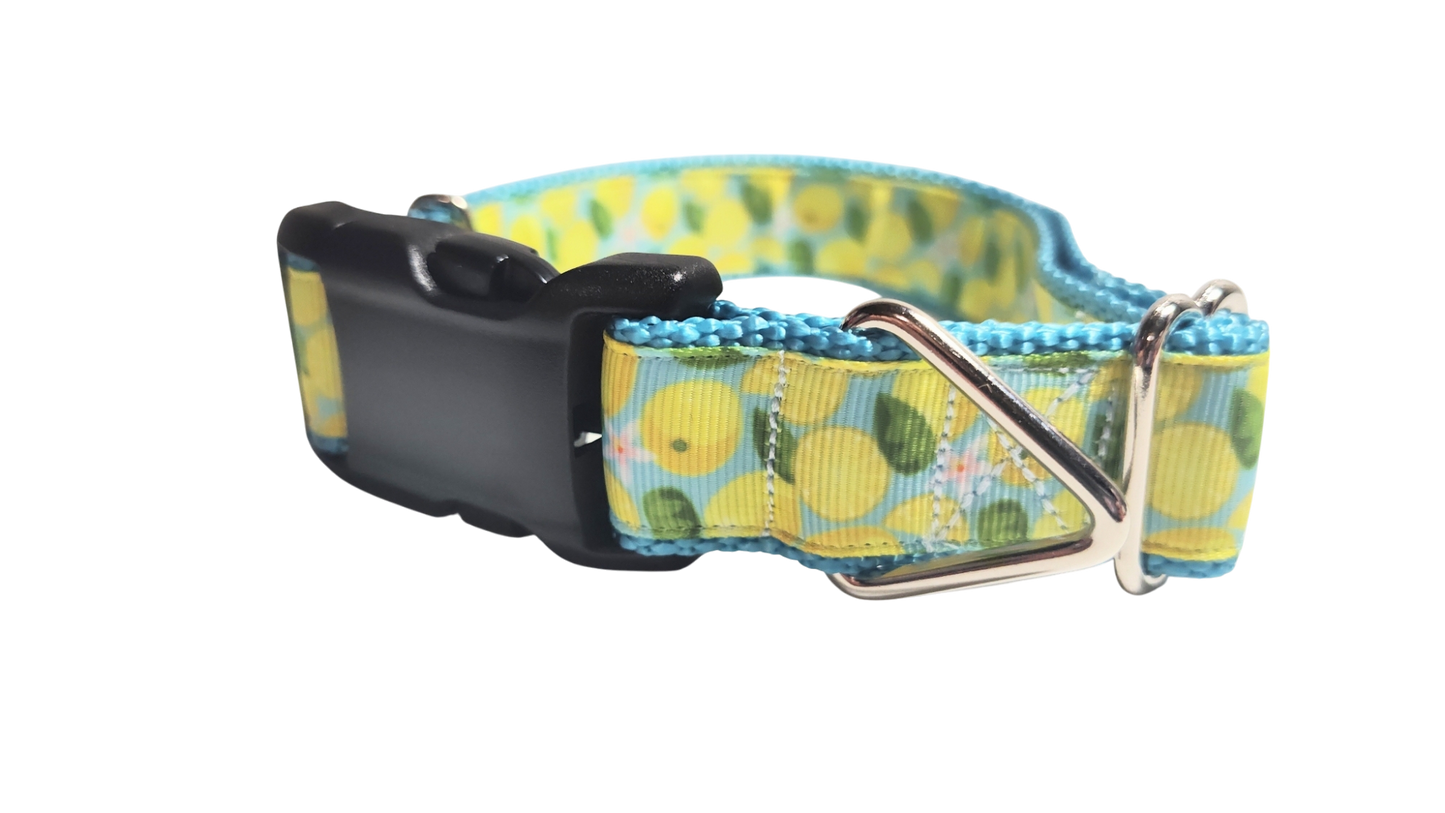 Lemons Nylon Dog Collar
