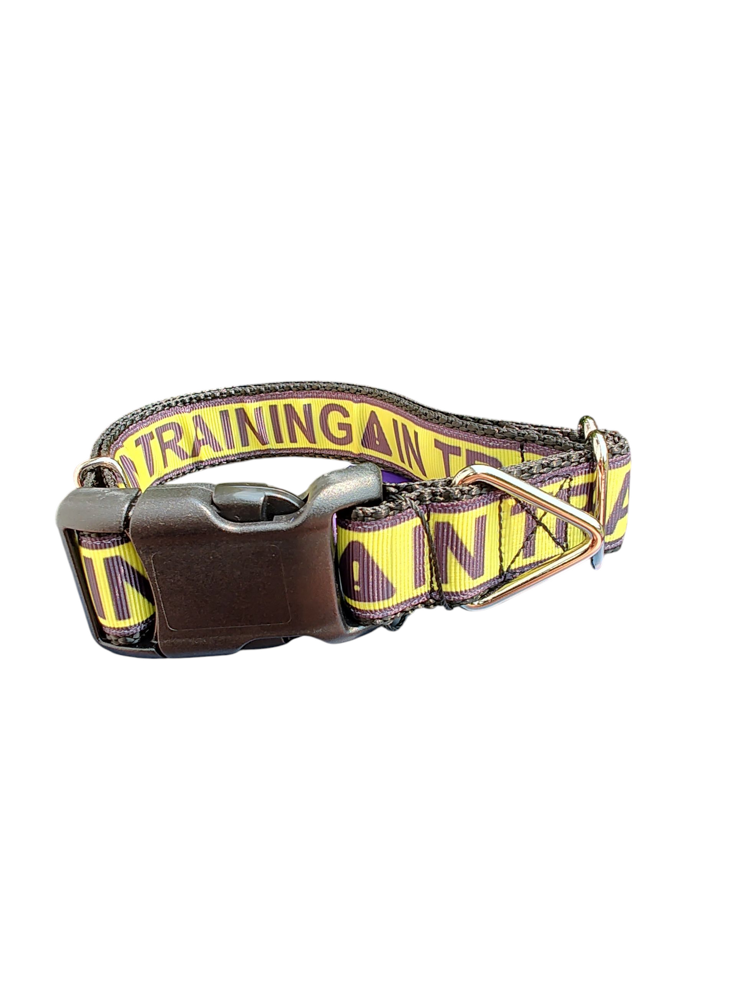 In Training Nylon Dog Collar