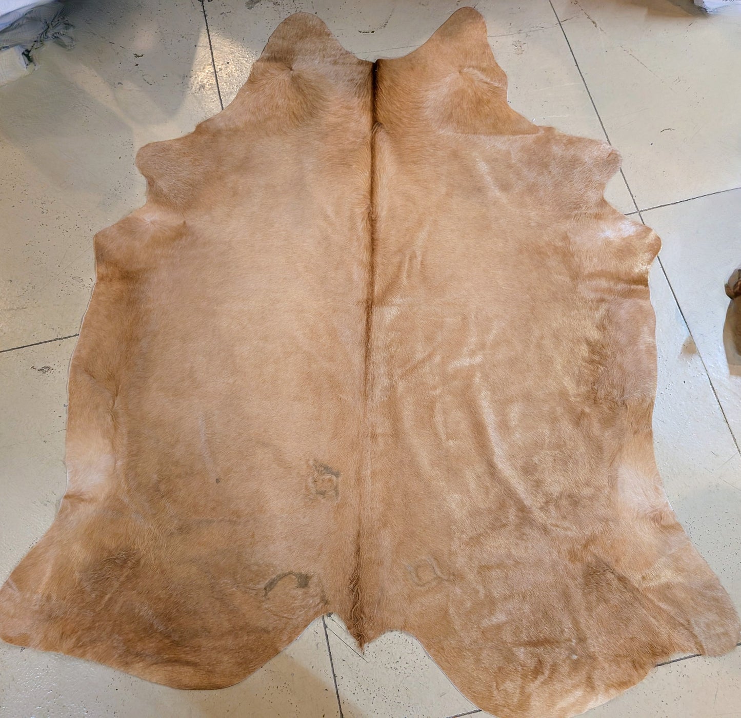 "Twinkie" Genuine Blonde Branded Cowhide