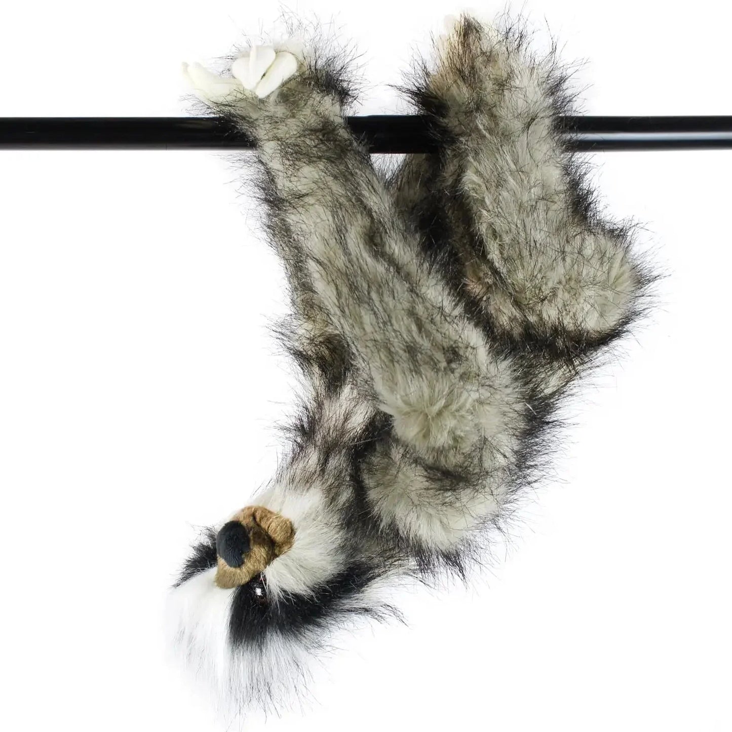 Shlomo The Three-Toed Sloth