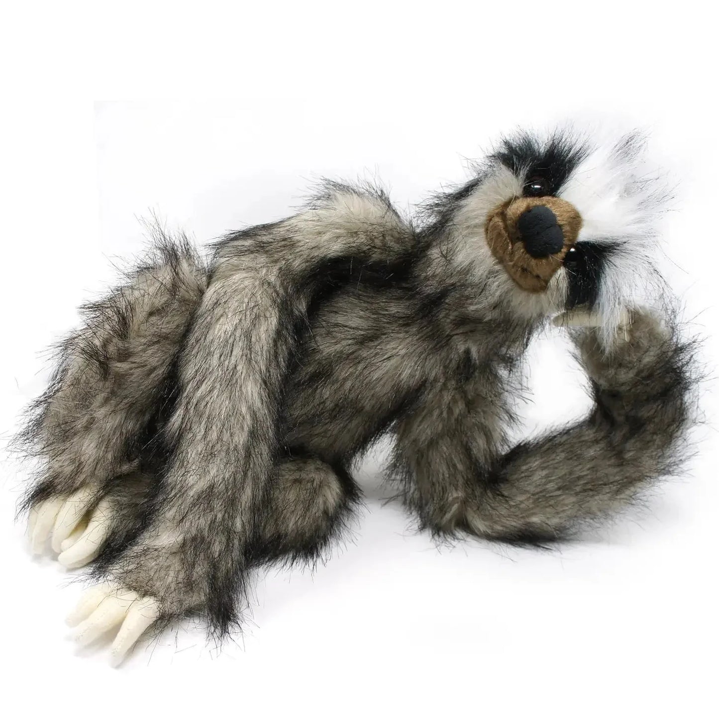 Shlomo The Three-Toed Sloth