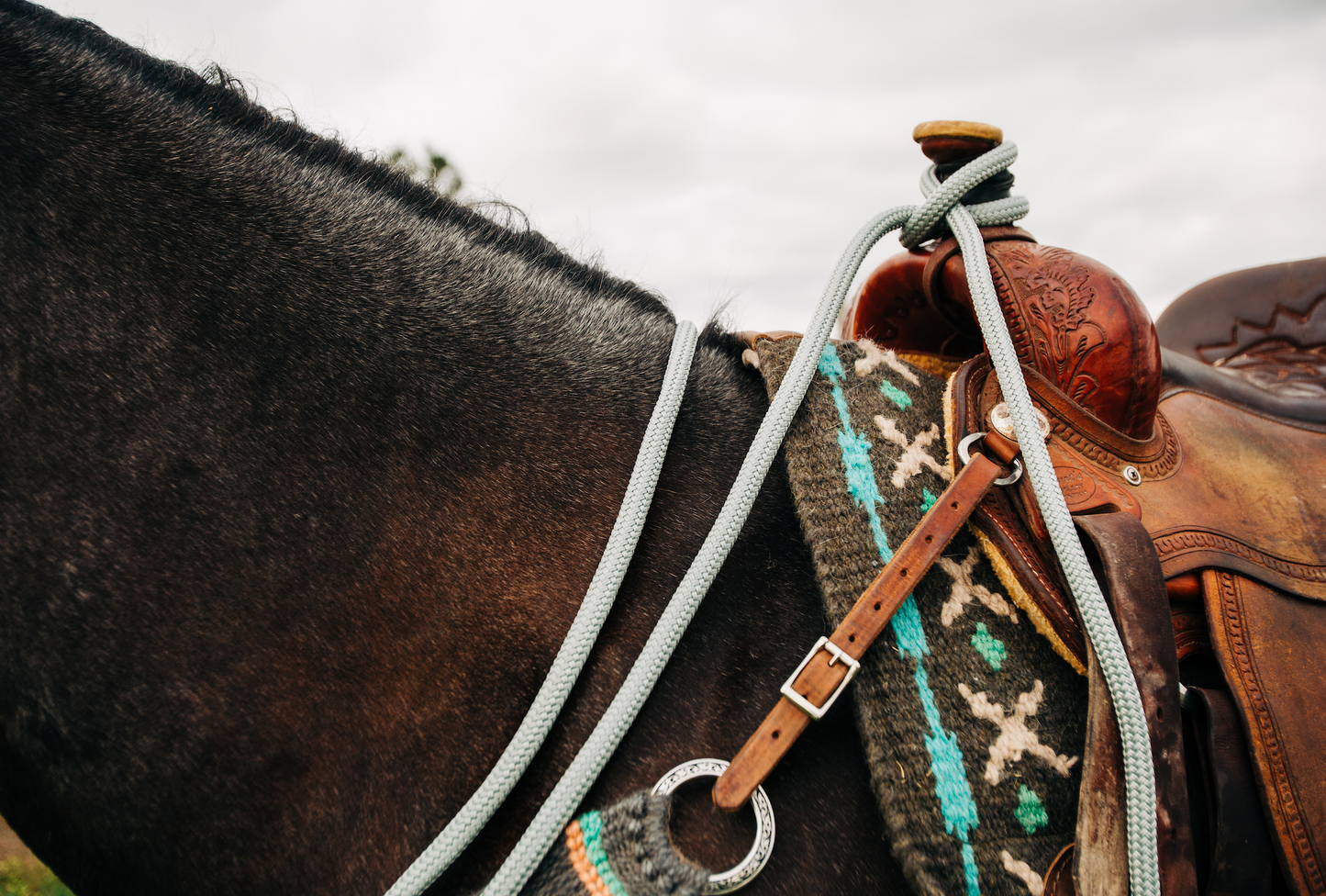 14 Ft Clinician Weighted Lead Rope w/ Snap