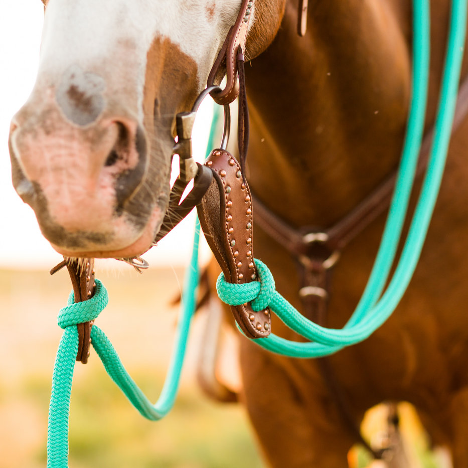 22 Ft Clinician Mecate Reins