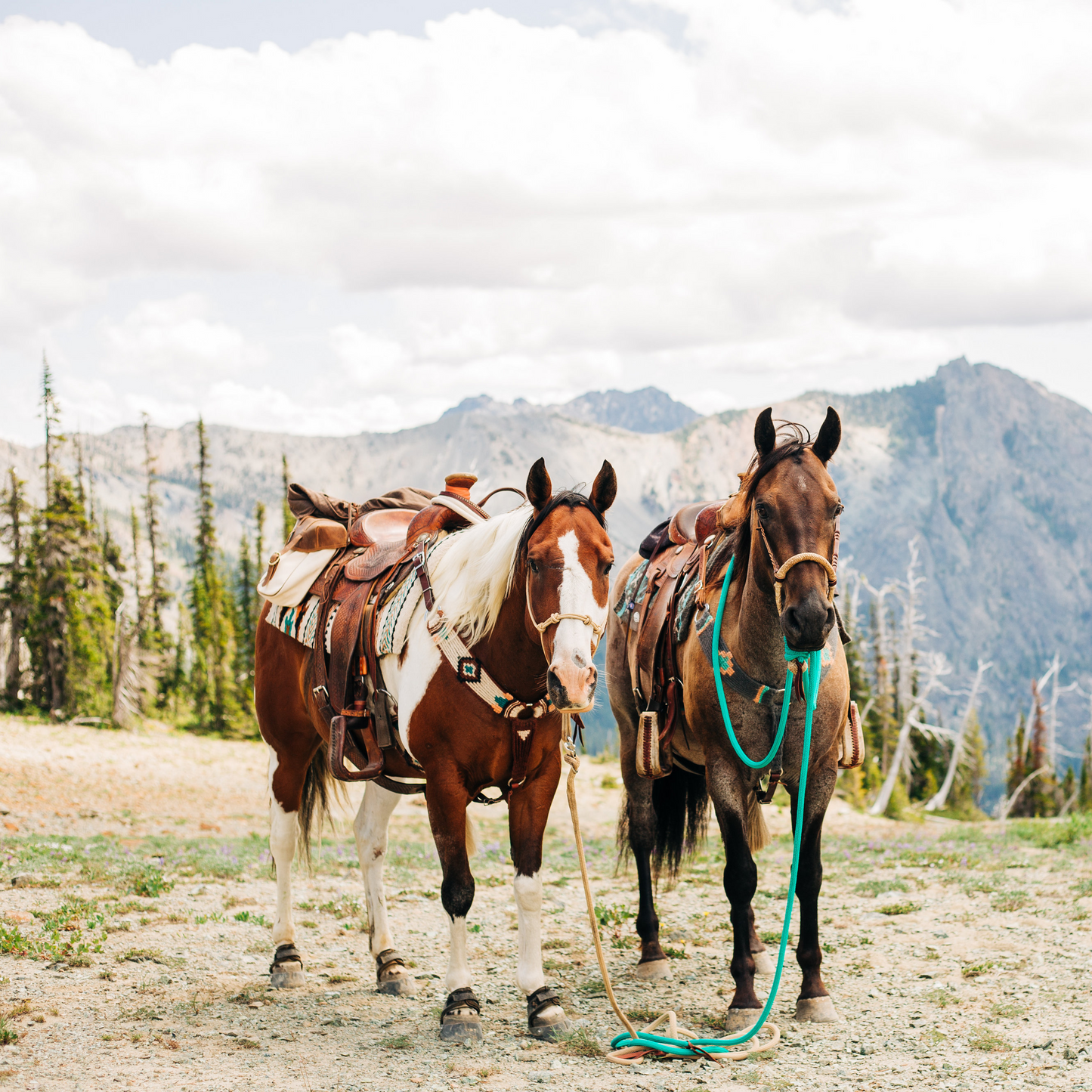 22 Ft Clinician Mecate Reins